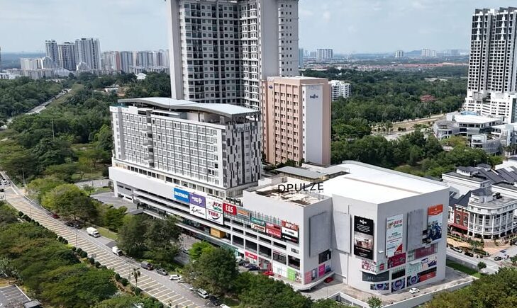 DPulze - KNF STUDIOS